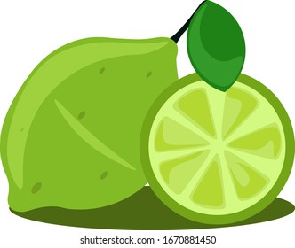 Green lime, illustration, vector on white background.