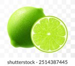 Green lime isolated on transparent background. Whole lime and slice of fruit, vibrant tropical plant, its textured shiny skin concealing zesty citric pulp within. Realistic 3d vector illustration.