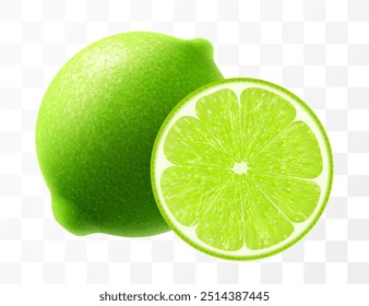 Green lime isolated on transparent background. Whole lime and slice of fruit, vibrant tropical plant, its textured shiny skin concealing zesty citric pulp within. Realistic 3d vector illustration.