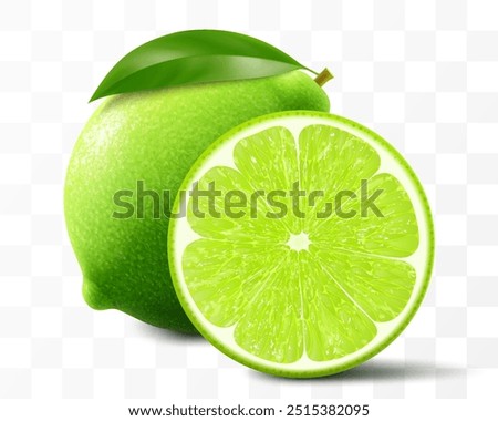 Green lime isolated on transparent background. Whole lime and slice of fruit, vibrant tropical plant, its textured shiny skin concealing zesty citric pulp within. Realistic 3d vector illustration.
