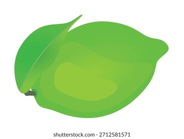 Cal verde aislado. Ilustración vectorial
