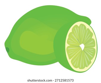 Cal verde isolada. ilustração vetorial