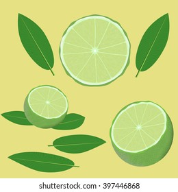 green lime and leaves vector illustration elements