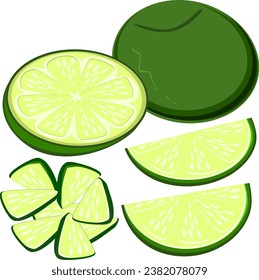 lima verde, limón un ingrediente de la comida tailandesa y hierbas tailandesas, ilustración vectorial.