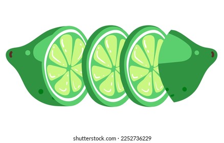 Green lime lemon slice citrus cutting chopping fruits isolated set. Vector design graphic illustration
