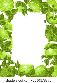 Green lime with mint leaves on a white background. Vertical square frame with an empty text place. Banner, poster, print. Vector hand drawn illustration. Elements are not cropped
