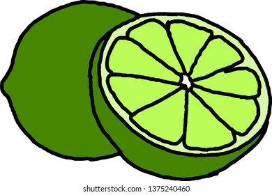 Green lime on a white background