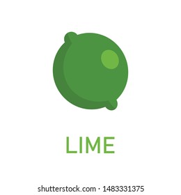 Green lime vector icon. Citric fruit flat illustration.