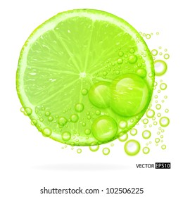 Green lime with water splash isolated on white background. Vector illustration.