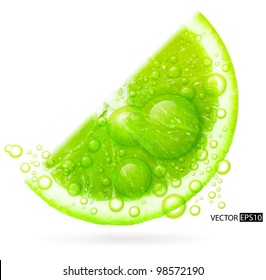 Green lime with water splash isolated on white background. Vector illustration.