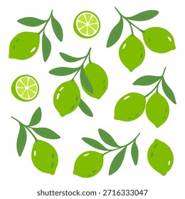 Green limes with branches. Flat design of citrus fruits and slices in vibrant green tones on white background