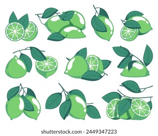 Green limes. Cartoon citrus fruits with leaves, sour organic citric fruit slices whole and half pieces with zest. Vector isolated set. Product for drinks, refreshments and cocktails