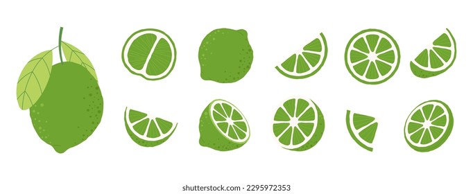 Green limes, sour lime isolated clipart. Cut and half citrus, mojito sliced ingredients. Vitamin fresh foog graphic, vector fruits elements