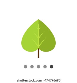 Green linden leaf