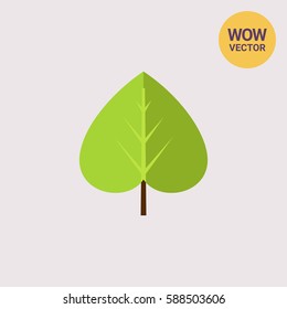 Green linden leaf