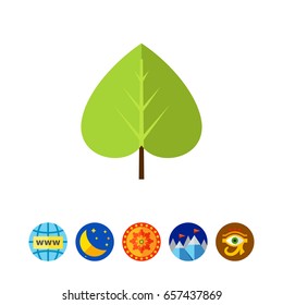 Green linden leaf