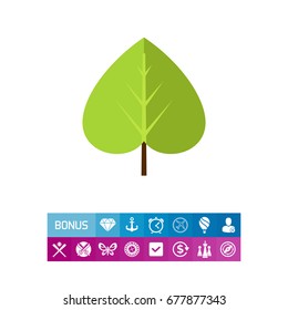 Green linden leaf