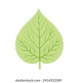 Ilustración de vectores de hojas de línea verde