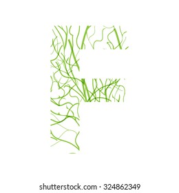 Green line alphabet letter F, isolated on white background