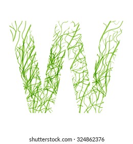 Green line alphabet letter W, isolated on white background