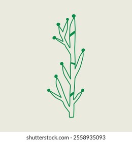 Green line art of a stylized plant with dot accents. Vector hand drawn line art illustration