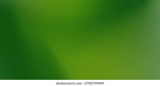 Plano De Fundo Do Gradiente Da Curva Da Linha Verde. Textura granulada estética. Design para Modelo, Mídia Social, Moda, Vintage, Folheto, Banner