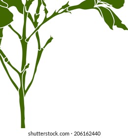 green line on a white background vector