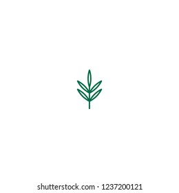 Green line rosemary twig, shoot, sprig. Icon Isolated on white. Logo for eco company, agriculture, nature firm, ecology, healthy organic and farm fresh food. Vector Illustration. kitchen herbs