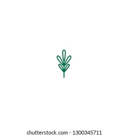 Green line thyme twig, shoot, sprig. Icon Isolated on white. Logo for eco company, agriculture, nature firm, ecology, healthy organic and farm fresh food. Vector Illustration. kitchen herbs