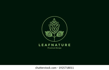 green lines mint leaf circle logo design vector icon symbol illustration