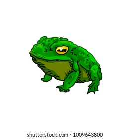 Green little toad