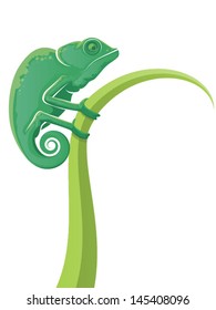 Green lizard cartoon holding onto tall grass with a curled tail/Vector Chameleon Icon Illustration