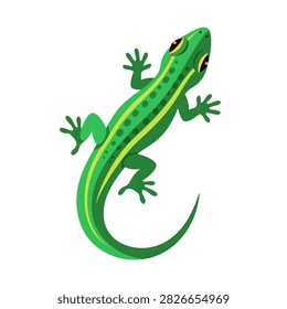 Green lizard climbing on plain white background illustration.