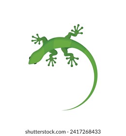 Green lizard gecko, eps 10 format