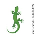 Green lizard gecko on a white background, vector eps 10