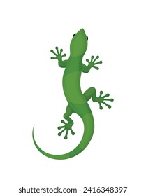 Green lizard gecko on a white background, vector eps 10