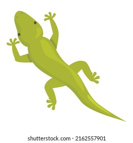 Green lizard icon cartoon vector. Animal iguana. 