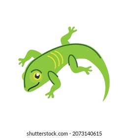 green lizard icon flat style