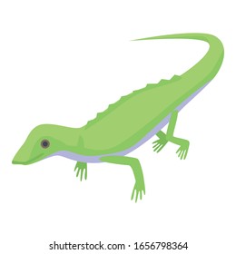 Green lizard icon. Isometric of green lizard vector icon for web design isolated on white background