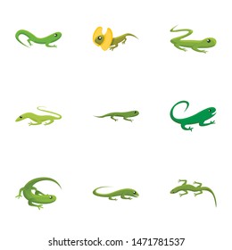 Green lizard icon set. Cartoon set of 9 green lizard vector icons for web design isolated on white background