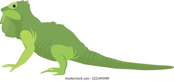 Green lizard. Iguana icon. Funny reptile animal