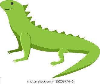 Green lizard, illustration, vector on white background.