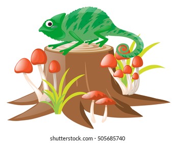 Green lizard standing on log illustration
