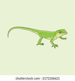 Green Lizard Vector Illustration, grüne Eidechse im Regenwald, grüne Eidechsengrafik