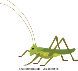 Ilustración vectorial de dibujos animados de langosta verde aislada sobre fondo blanco. Personaje de saltamontes para niños.