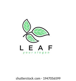 GREEN LEAF” Logo Design. All elements are vector-based built in Illustrator software and can be used for both print and web