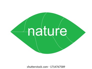 ilustración de diseño de la hoja verde