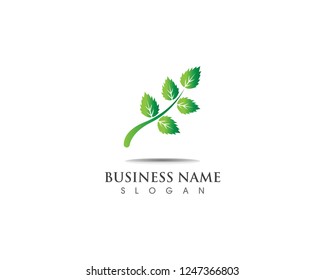 Green logo leaf nature template element vector