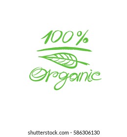 Green logo with leaf on white background. Vector hand drawn graphic illustration.