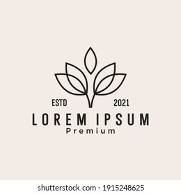 green lotus flower logo design Vector